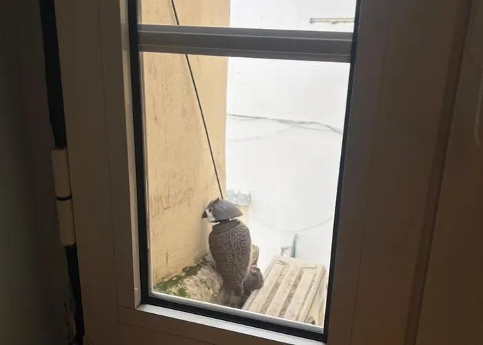 Alfama Downtown Corner Διαμέρισμα *