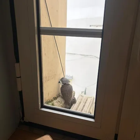 Alfama Downtown Corner Apartament *